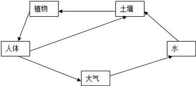 阅读下面短文简要回答问题土壤污染是指土壤中积累 有害物质,引起对植物生长的危害,或者残留在农作